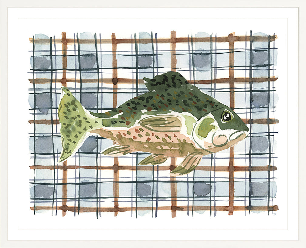 The "Plaid Pacific Fish" Watercolor Animal Fine Art Print