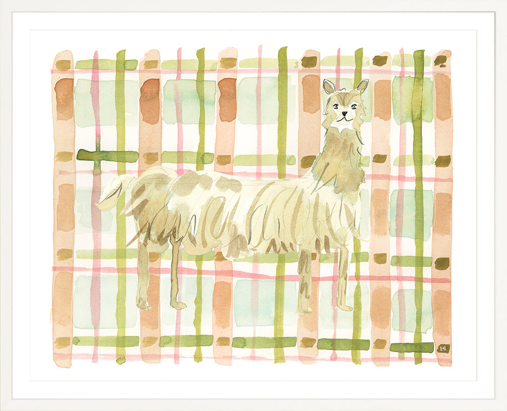 The "Plaid Llama" Watercolor Animal Fine Art Print