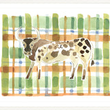 The "Plaid Bull" Watercolor Animal Fine Art Print