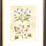 The "Pressed Petals" Florilegium Series, Fine Art Print