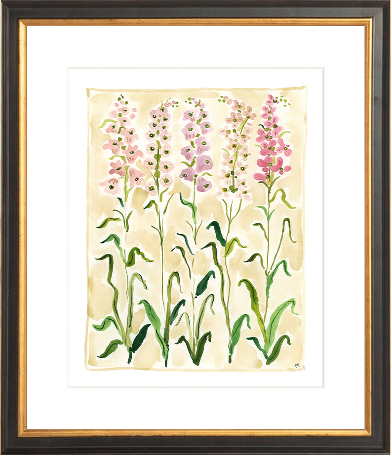 The "Sweet Peas Study" Florilegium Series, Fine Art Print