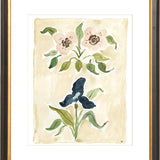 The "Heirloom Blooms" Florilegium Series, Fine Art Print