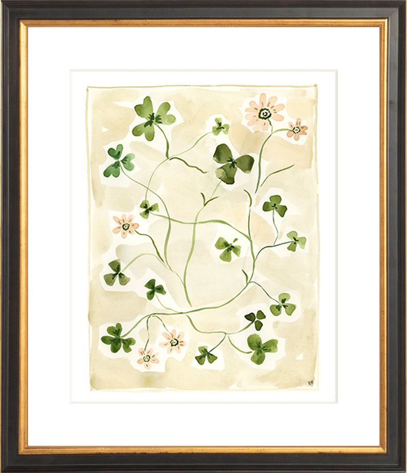 The "Daisy Chain" Florilegium Series, Fine Art Print