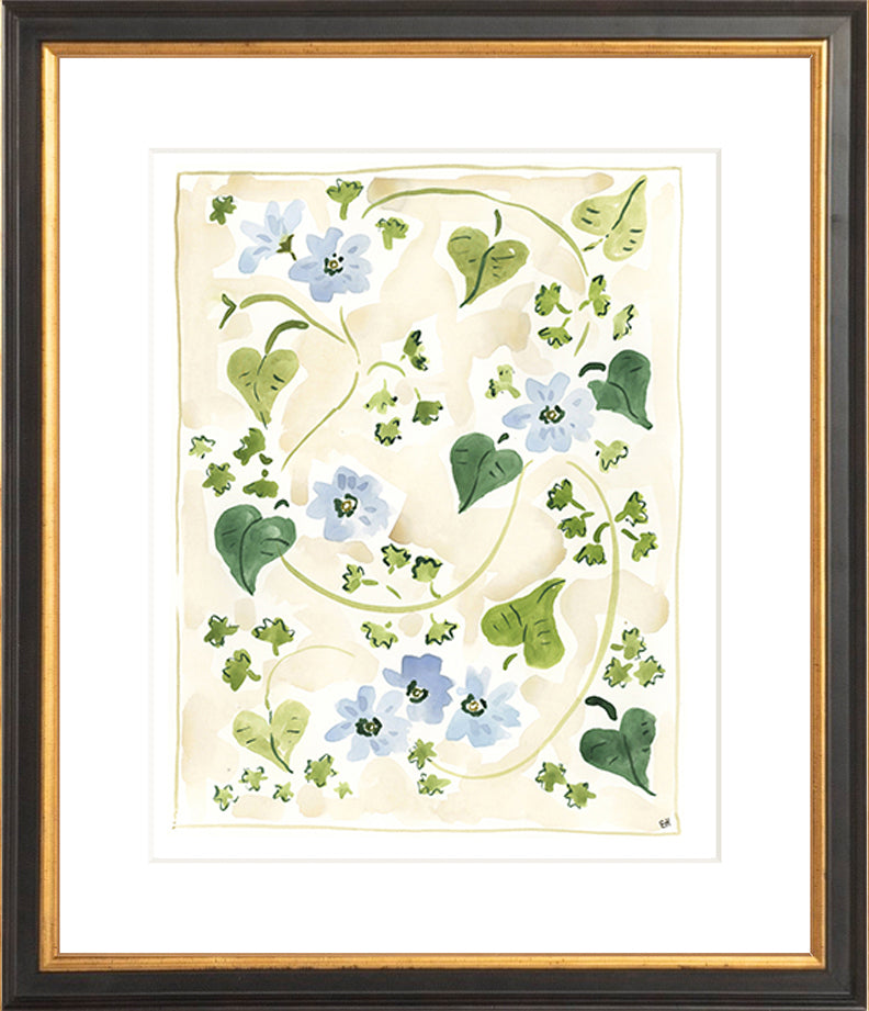 The "Forget me Nots" Florilegium Series, Fine Art Print