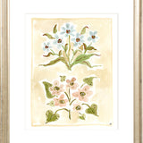 The "Pressed Petals" Florilegium Series, Fine Art Print
