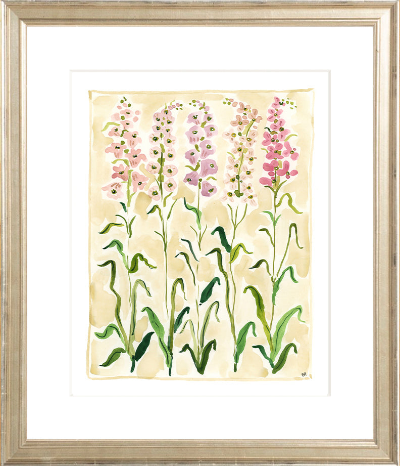 The "Sweet Peas Study" Florilegium Series, Fine Art Print