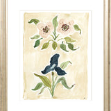 The "Heirloom Blooms" Florilegium Series, Fine Art Print