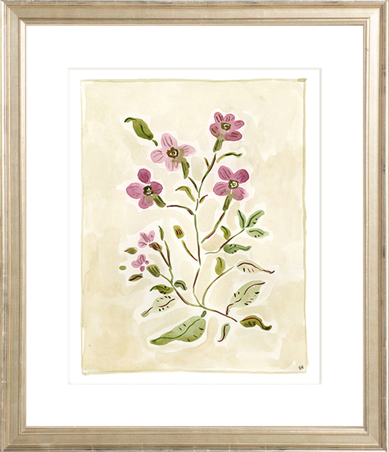 The "Cosmos Conservatory" Florilegium Series, Fine Art Print