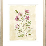 The "Cosmos Conservatory" Florilegium Series, Fine Art Print