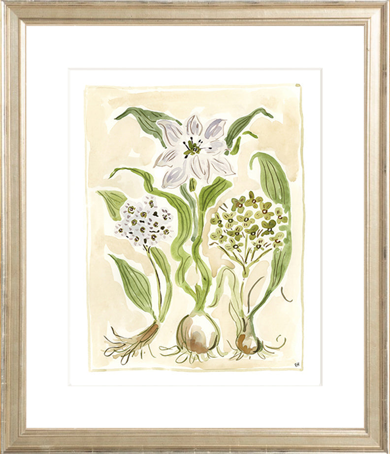 The "Ivory Garden" Florilegium Series, Fine Art Print